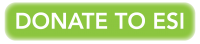 donate button