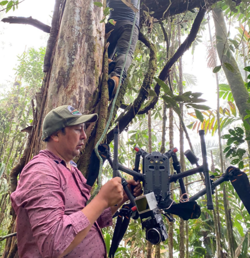 A staff member from Corpoamazonia´s data collection team works in the field. 